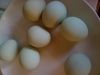 chicken-corner-eggs.JPG
