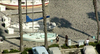 king-harbor-fish-ktla.jpg