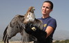 hawk-released.jpg
