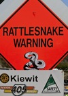 kiewit-snake-soqui.jpg