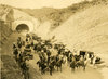 sepultunnel1300.jpg