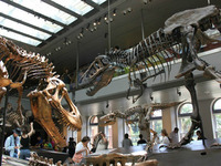 NHMLA_IMG_4868_edit.jpg