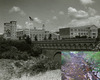 ucla-bridge.jpg