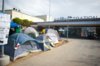 occupy-elac-lu.jpg