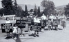 sunland-protest-50s.jpg