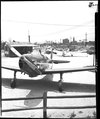 eddie-meyer-airplane-aaa.jpg