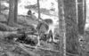 Thumbnail image for or7-medford.jpg
