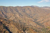 angeles+forest+burn+basin.jpg