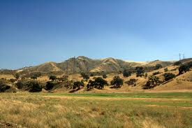 newhall.jpg