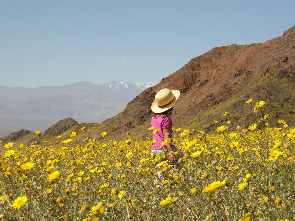 http://www.laobserved.com/intell/2016/01/21/P31300631.JPG