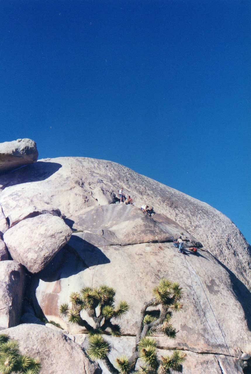 http://www.laobserved.com/intell/assets/Joshua-Tree-climbers-ea.jpg