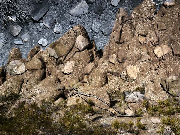 http://www.laobserved.com/intell/assets/Joshua-Tree-morell.jpg