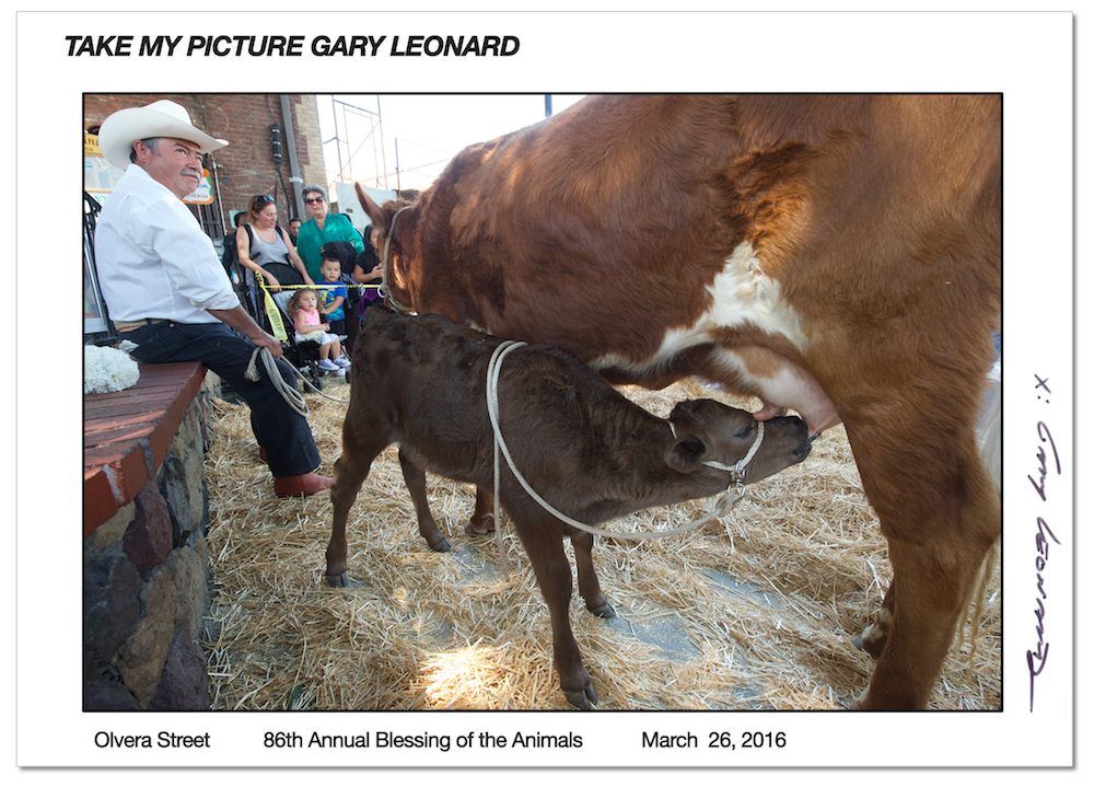 http://www.laobserved.com/intell/assets/LAO_BlessingOfTheAnimals2.jpg