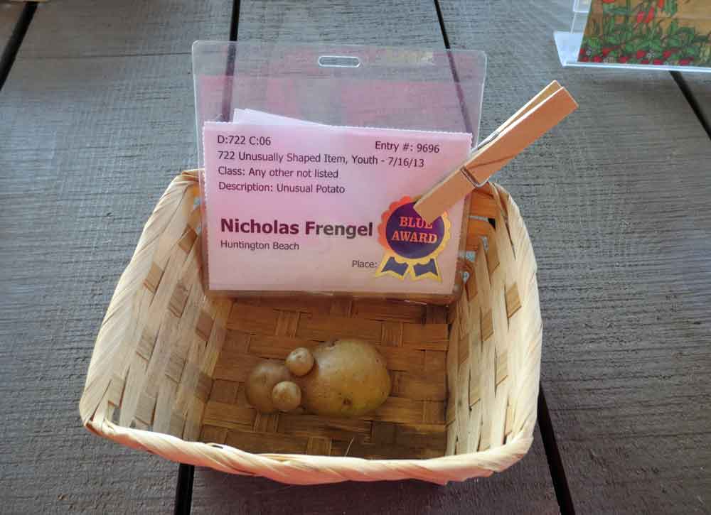 http://www.laobserved.com/intell/assets/OC-Fair-weird-produce-award.jpg