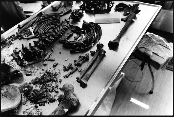 http://www.laobserved.com/intell/assets/Srebrenica-massacre-victims-roth.jpg