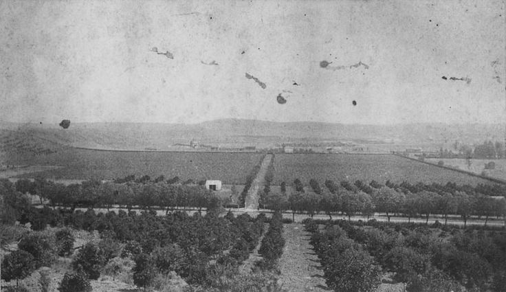 http://www.laobserved.com/intell/assets/Vignes-vineyard.jpg