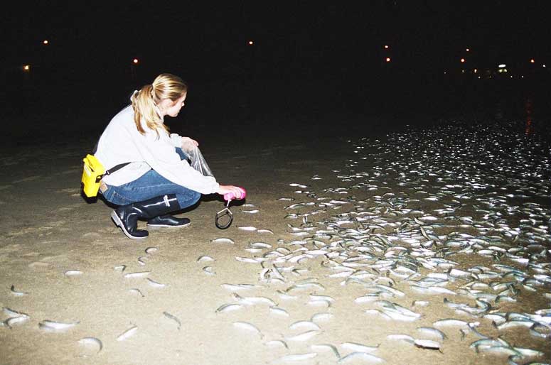 http://www.laobserved.com/intell/assets/grun_Rachael.jpg