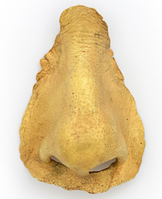 http://www.laobserved.com/intell/assets/lois-boardman-nose.jpg