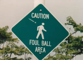 http://www.laobserved.com/intell/assets/quakes-foul-ball-harvey.jpg
