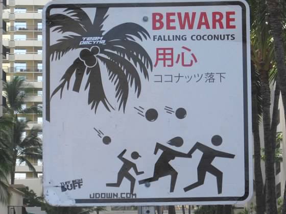 http://www.laobserved.com/intell/assets/sh-falling-coconuts.jpg