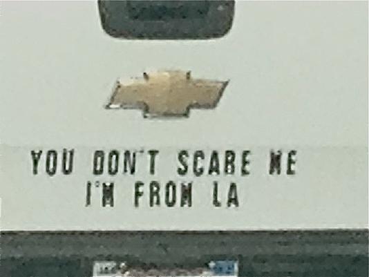 http://www.laobserved.com/intell/assets/sh-scaryLA-license.jpg