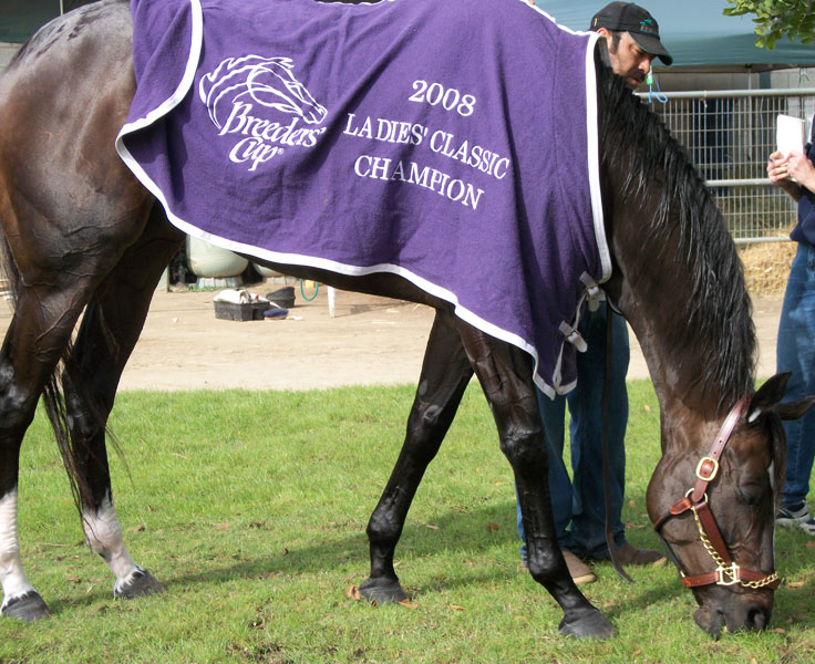 http://www.laobserved.com/intell/assets/zenyatta-grazing.jpg
