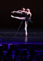 black-swan-laphil.jpg