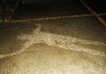 rainshadow3.jpg
