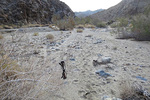 Dead-Indian-Canyon-desert-l.jpg