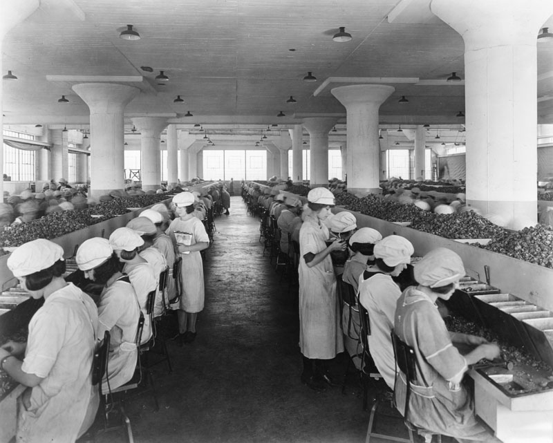 http://www.laobserved.com/manage/assets/walnuts-women-sfv-lapl.jpg