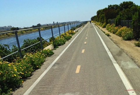 ballona-creek-cicalvia-day.jpg