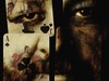 Ricky-Jay-poster.jpg